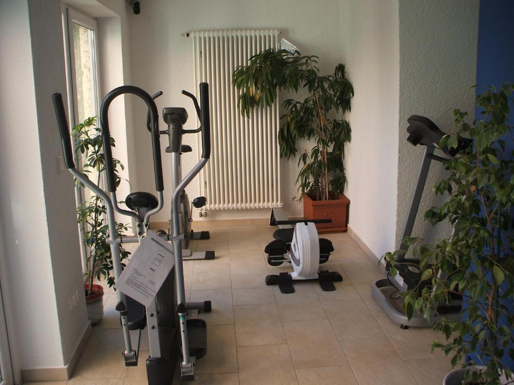 Hotel Apollo Garni Regensburg Buitenkant foto